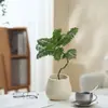 Ins Jiuli Escandinavo Planta Verde Fragante en Maceta Florales Oficina Sala de Estar Escritorio Interior Adornos Purificar el Aire y Eliminar Formaldehído