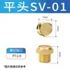 Acessórios para Válvula Solenoide Silenciador Redutor de Ruído Pneumático de Cobre Baili para Acelerador/Cabeça Longa St-01/02/03
