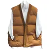 Elegante Jaqueta Colete Preta com Decote V para Mulheres, Moda Coreana, Estilosa, Rejuvenescedora, Colete Retrô, Casaco de Algodão Puffer