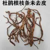 Ramas de Raíz de Azalea con Piel, Ramas Parcialmente Peladas, Madera a la Deriva, Tanque de Hierba, Material de Paisajismo para Esqueleto de Selva Tropical de Reptiles