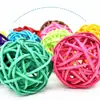 Juguete para Pájaros Loro Takraw Entrenamiento Iq Masticar Inteligencia Periquito Periquito Agaporni Accesorios para Limar el Pico Alivio del Aburrimiento Antidepresión