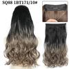 Fabricante de Cortina de Cabello para Peluca Venta al por Mayor Comercio Exterior Transfronterizo Ola Grande Fibra Química Hilo de Pesca Cortina de Cabello Rizado Extensión de Cabello Sin Costuras Pieza de Peluca
