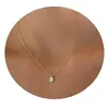 Collar de Diamantes con Colgante Elegante en Forma de Hoja Transfronterizo para Uso Diario Cadena para Clavícula Joyería Nueva para Mujer Venta al por Mayor