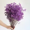 Ramo Eterno de Yunnan Hierba de Cristal Flores Preservadas de Colores Accesorios Florales Decoración del Hogar DIY Flores Secas Accesorios para Fotografía