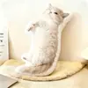 Almohada Decorativa Irregular Personalizada para Mascotas DIY Fotos de Gato Perro Cojín Hecho a Medida Cojín Estético para Sofá Cojín de Respaldo