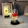 Pantalla de lámpara de plástico mini transfronteriza luz de noche decoración regalo del Día de la Madre luminoso Cielo Estrellado flor seca flor de jabón de rosa