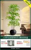 Planta Verde Artificial Nantianzhu, de Gama Alta y Lujo, de Pie, Grande para Interiores y Exteriores, Bonsái de Alta Calidad, Árbol Falso para la Sala de Estar