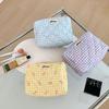 Bolsa de maquiagem xadrez de alto valor para meninas, bolsa portátil fofa para cuidados com a pele, bolsa de higiene pessoal de desenho animado