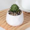 Decoración de planta verde artificial nórdica al por mayor, decoración creativa de suculenta en maceta pequeña, planta verde, flor falsa, decoración de escritorio