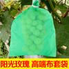 Bolsa de Tela No Tejida para Uva, Bolsa a Prueba de Pájaros e Insectos, Protección Transpirable para Frutas, Ensacado de Peras, Venta al por Mayor Especial