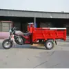 Triciclo a Gasolina Transfronteiriço para Transporte de Carga, Uso Agrícola, Alimentado por Bateria, Pesado, Capaz de Subir em Áreas Montanhosas, Triciclo Elétrico Doméstico de Alta Potência