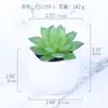 Mini simulación de flores carnosas en macetas, creativas, para bricolaje, para interiores, pequeñas decoraciones, flores de plástico, suministro de fabricantes ES1155-1