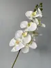 Tecido Mao Flor de Orquídea Phalaenopsis artificial casamento auditório display doméstico macio Modelo de Sala comércio exterior transfronteiriço orquídea flor falsa