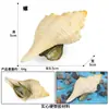 Modelos Realistas de Animales Marinos Transfronterizos: Tiburón Azul, Megalodón, Tiburón Ballena Gris, Tiburón Blanco, Tiburones Martillo Juguetes