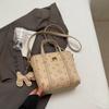 Bolso de Mujer Ins Invierno Estilo Coreano Tipo Bolso Bandolera de un Hombro Moda Trendy Nuevo Animación de Dibujos Animados Bolso Balde