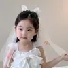 Acessórios de Cabelo com Véu Infantil, Coroa de Cabeça para Aniversário de Meninas, Presilhas de Cabelo para Decoração de Casamento de Princesa para Meninas, Presilhas de Cabelo para Festa de Bebê Menina
