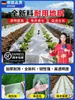 Invernadero Grande Película de Mulch Negra Película de Mulch Negra Agrícola para Cultivo de Verduras y Frutas Supresión de Malezas Retención de Humedad Resistente al Desgarro Plástico Agrícola Película Negra