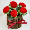 Flor de Lana de Venta Caliente Transfronteriza Flor Tejida Flor Tejida Mini Cesta de Flores Tejida Hecha a Mano Rosa Roja Margarita Adornos Esponjosos