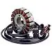 58108R Bobina Estator Magnético Bobina Generador Piezas de Motocicleta Para Piaggio
