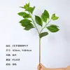 Venta directa del fabricante: Rama Única de Hojas de Hortensia Artificiales, Ramas de Plantas Verdes Simuladas para Decoración en Estudios y Dormitorios, Accesorios para Arreglos Florales