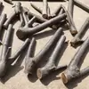 Galhos Secos com Formato Natural Galhos Pequenos para Modelagem Material para Arranjo de Flores DIY com Garfos Adereços de Artesanato para Jardim de Infância Zen