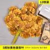 Hojas de Planta Artificiales en Stock Transfronterizas: Hojas de Arce, Hojas de Ginkgo, Hojas de Mango, Ramas Verdes de Higuera, Ramas de Plástico con Tacto Realista