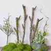 Ornatos Decorativos de Combinação de Galhos e Flores Secas para Paisagismo de Chão, Plantas Verdes para Decoração de Chão de Sala de Estar