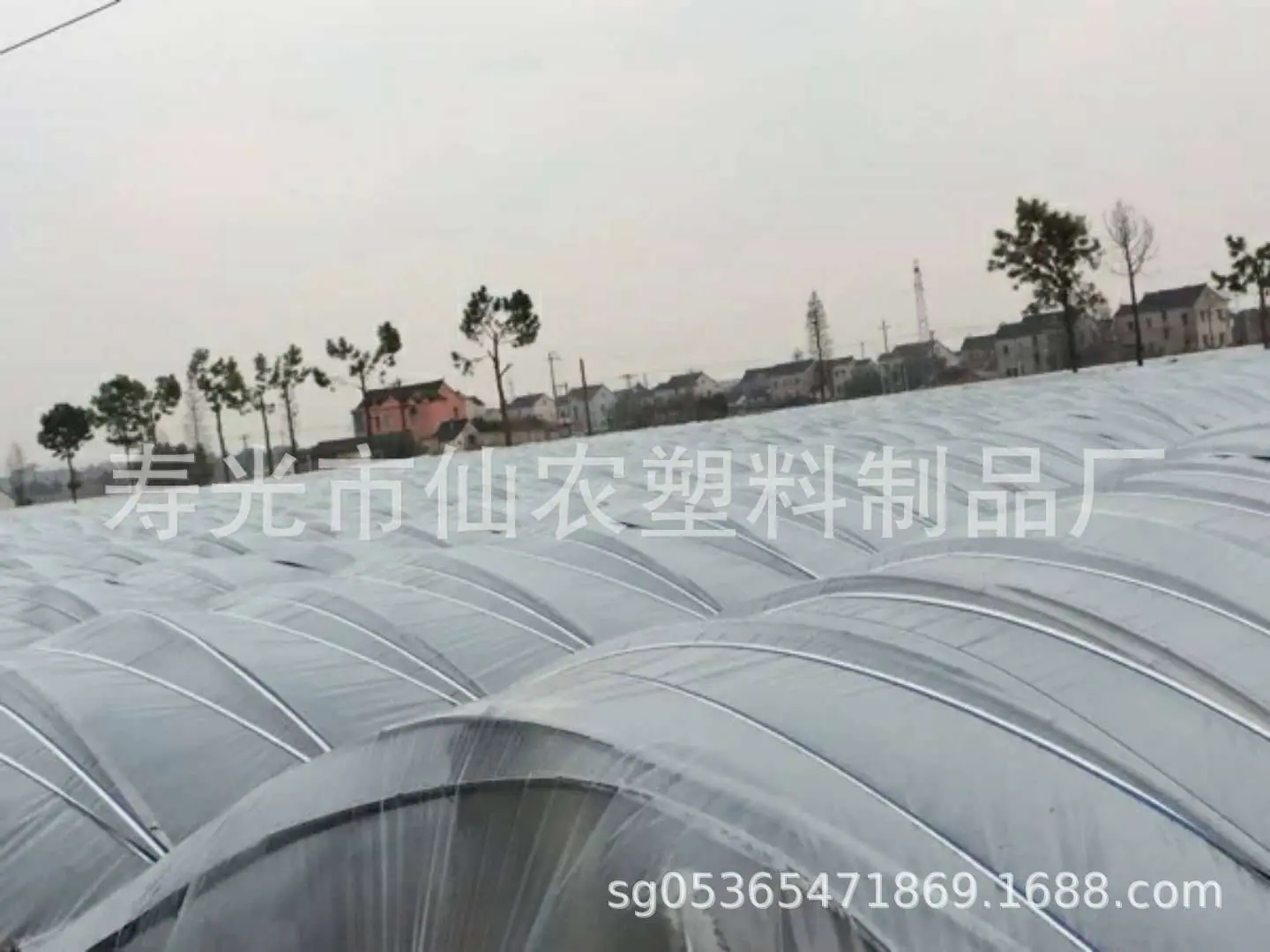 微信图片_20180530172503.jpg