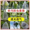 Bolsas protectoras de frutas para control de aves, bolsas de malla universales a prueba de insectos para frutas y verduras, bolsas transpirables para higos, nísperos, uvas, melocotones y fresas