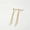 Amazon Europa América Transfronterizo Nuevo Estilo Pendientes de Borla Cobre Personalidad Nicho Temperamento Versátil Colgantes de Pendientes Joyería para Mujer Venta al por Mayor