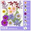 Paquete de Materiales DIY de Flores Secas Flores Prensadas Hechas a Mano Flores Conservadas Marcadores de Libros de Flores Prensadas Hojas de Árbol Real Plantas Pegatinas de Resina Maquillaje Facial