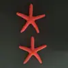 Suministro Directo de Fábrica Accesorios de Resina Estrella de Mar Estilo Mediterráneo Decoraciones para Acuarios Adornos Conchas Creativas Decoración Exquisita