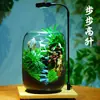 Árvore da VidaCriativo Desktop Musgo Micro-Paisagem Bonsai Pronto Fácil de Cuidar Plantas Verdes Frescas Planta em Vaso de Garrafa