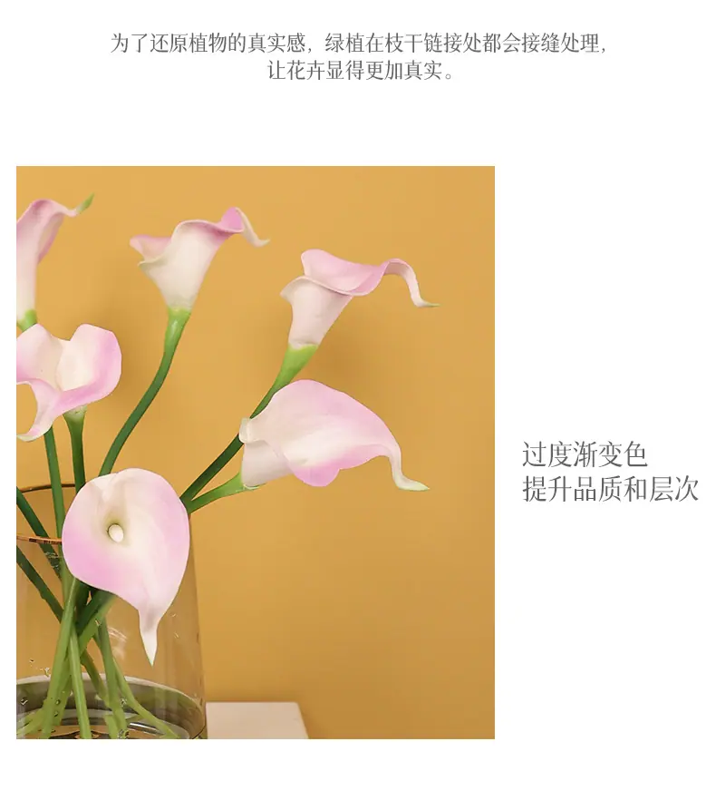 8头迷你马蹄莲_09.jpg