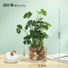 Planta Verde Creativa Hierba de Cuatro Hojas Cheyenne Planta en Maceta de Simulación Decoración del Hogar Escritorio de Oficina Planta de Simulación Crecimiento de Ojos Bonsái