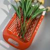 Cesta de Drenaje Extensible Escurridor de Fregadero Ajustable Escurridor de Fregadero Escurridor de Fregadero Cesta de Frutas