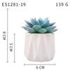 Planta Suculenta Simulada Macetas, Decoración de Muebles de Oficina Nórdicos, Nuevas Suculentas Bonsái Simuladas de Alta Calidad para el Hogar
