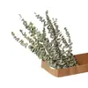 [Pueblo de Zanhua] Hojas de Eucalipto Secadas al Aire Naturalmente Ramo de Flores Secas Decoración Artística Flores Reales Regalo Venta al por Mayor