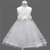 Roupas Infantis para Meninas 2026 Verão Novo Estilo Saias Infantis, Vestido Princesa de Renda para Crianças Maiores, Vestido de Peça Única, Dropshipping