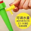Dispositivo Doméstico Automático para Regar Flores, Dispositivo de Riego por Goteo Temporizado Ajustable, Emisor de Goteo Universal para Botellas de Refresco, Adecuado para Plantas Verdes y Plantas en Maceta