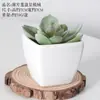 Bonsái Artificial Carnoso Combinación de Flores Falsas de Plástico Planta Verde de Interior para Oficina Escritorio Adornos Pequeños Plantas Artificiales Venta al por Mayor