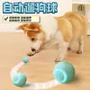 Brinquedo de Gato Bola Rolante Elétrica Auto-Hei-Depressora Automático Bomei Ursinho Bola de Treinamento Resistente à Mordida Suprimentos para Animais de Estimação