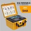Iridium ThAi ETCR3460A Testador de Resistência de Isolamento 50V Megger Digital Medidor de Resistência de Isolamento 5000V