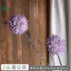 Dente-de-leão Artificial de 2 Cabeças com Hastes Longas e Bolas Redondas, Direto do Fabricante para Arranjos Florais de Casamento Transfronteiriços e Adereços de Parede de Flores Comerciais