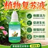 Solución Revitalizante Específica para Plantas Flor de Maceta Crecimiento Absorción Activa para Tallos Desnudos Caída de Hojas Amarillas Crecimiento Rápido Tipo General
