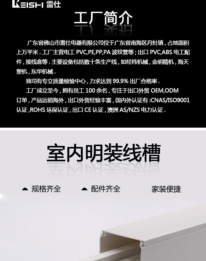 雷仕详情_10.jpg