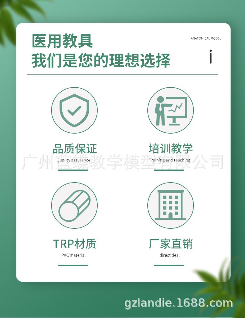 静脉穿刺模块_02