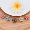 Mini Pinzas para el Cabello de Flor, Lindas y Frescas Pinzas Laterales para Flequillo, Juego de Cinco Piezas, Estilo Exquisito de Princesa, Pinzas Pequeñas para el Cabello para Mujeres