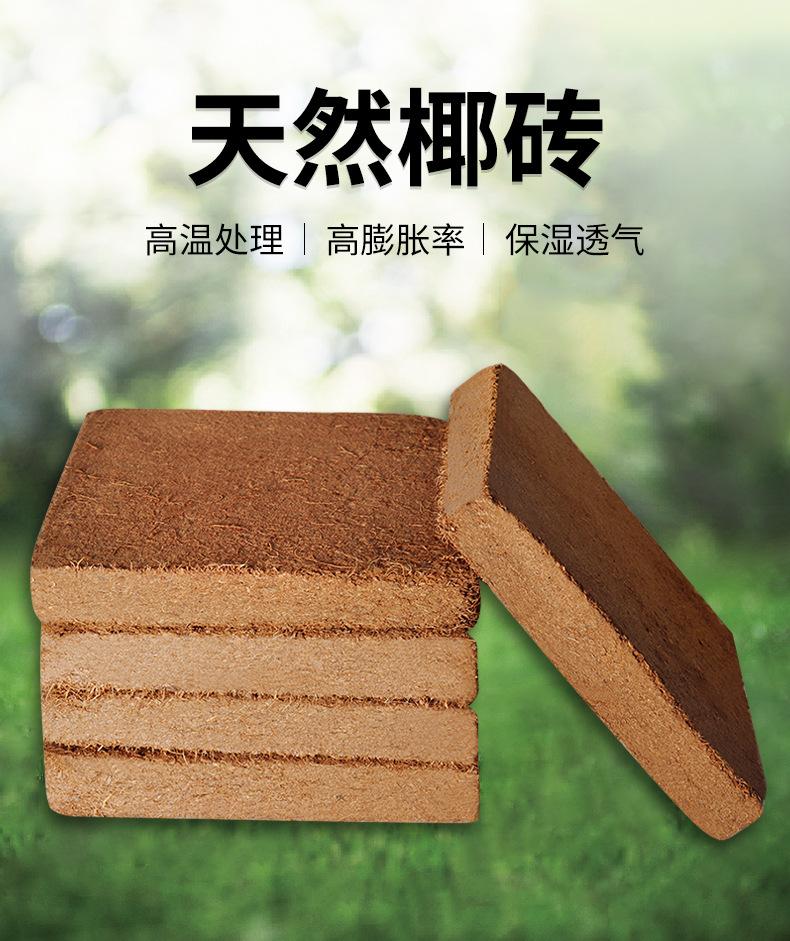 方形椰砖_01