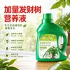 Árvore da Fortuna Solução Nutritiva Universal Fertilizante para Flores Árvore da Fortuna em Vaso Rabanete Verde Bambu da Sorte Flores Hidropônicas Plantas Verdes Fertilizante